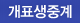 개표생중계