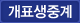 개표생중계