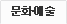문화·예술