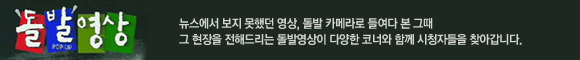 돌발영상