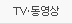 TV/동영상